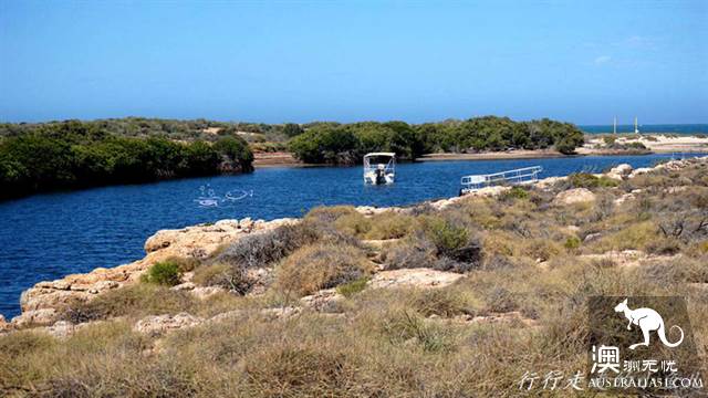 西澳的开普岭国家公园（Cape Range National Park）都有哪些好玩的？