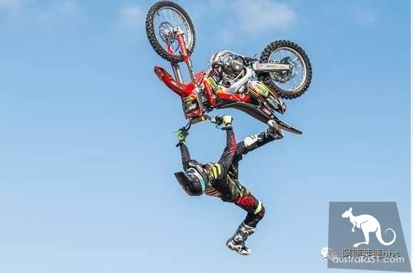 2019年皇家阿德莱德秀来啦！史上最强攻略带你吃喝玩乐Hold住全场！快看看今年有什么新花样！