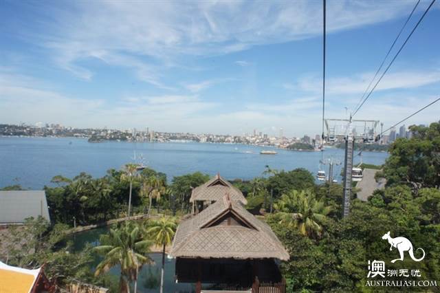 悉尼塔龙加动物园,这里的动物们住着海景房