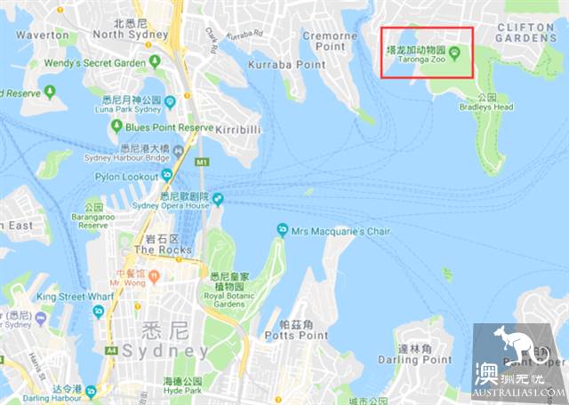 悉尼塔龙加动物园,这里的动物们住着海景房