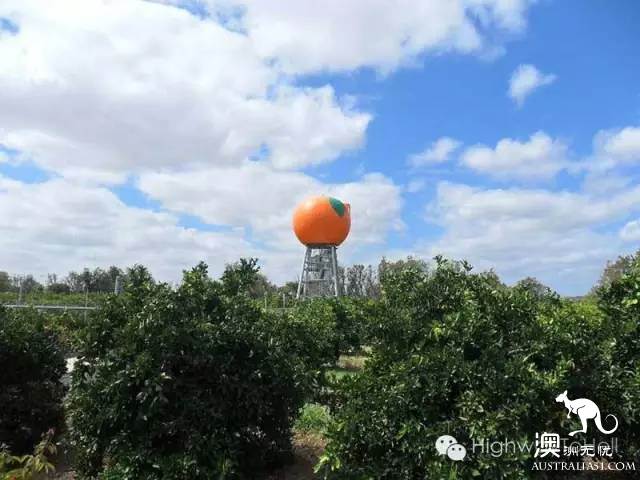 盘点,澳大利亚的那些“巨物”