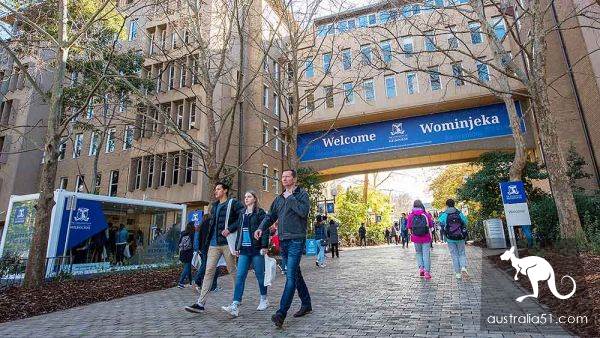 大学读啥?今年维州高校最热门学位揭晓
