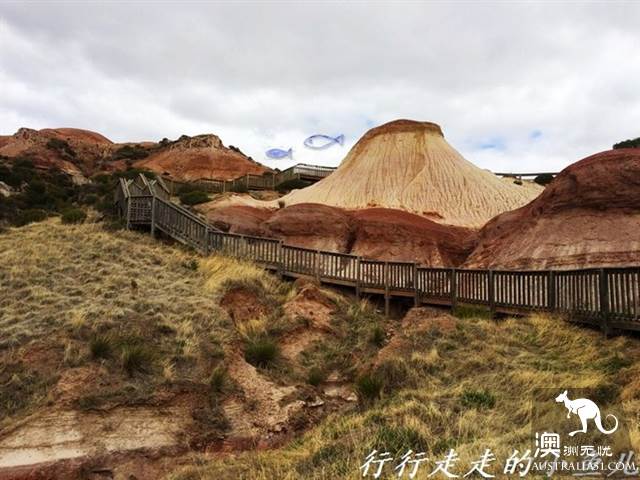 阿德莱德秘境：哈雷特考夫保护公园，地球6亿年的沧桑