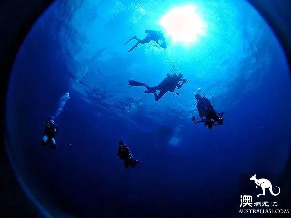 澳洲必打卡No.1,“世界级”小众绝世美景豪勋爵岛,其实就在你身边