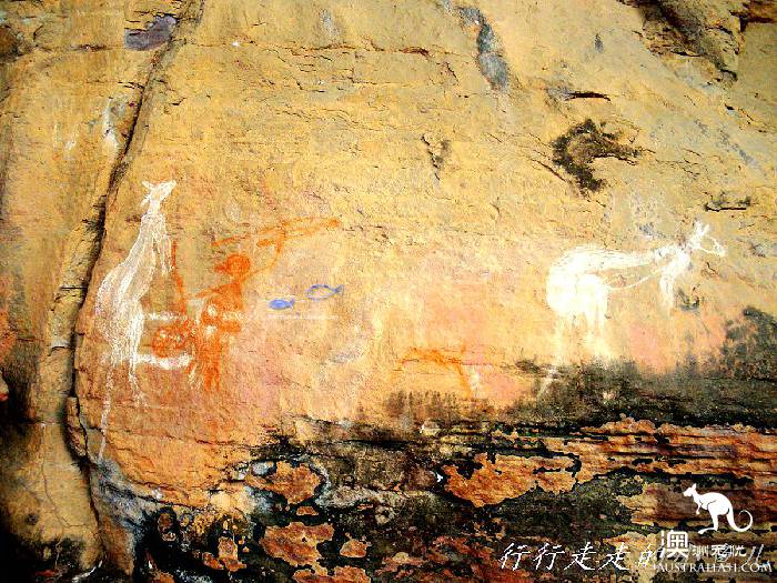 北领地卡卡杜国家公园游玩指南