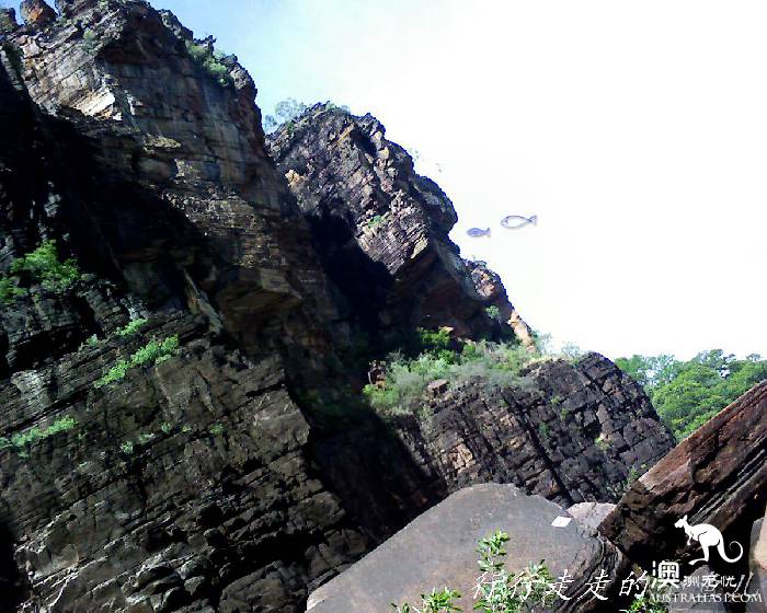 北领地卡卡杜国家公园游玩指南