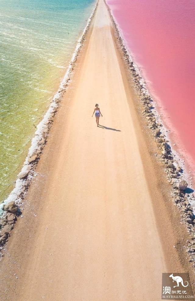 澳洲网红旅游景点盘点 南澳艾尔半岛上的粉色湖最火 澳洲无忧网