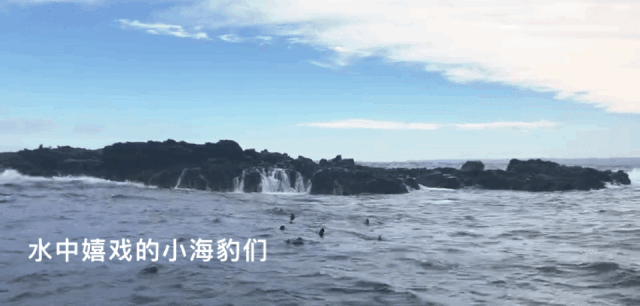 万里挑一的“维州顶级度假胜地”，菲利普岛五大神秘景点解锁