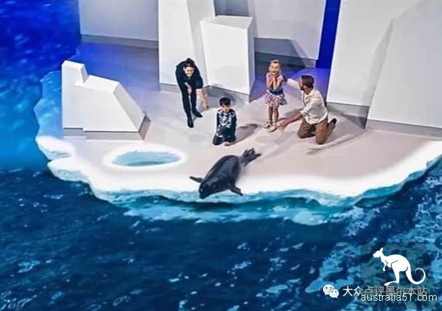 万里挑一的“维州顶级度假胜地”，菲利普岛五大神秘景点解锁