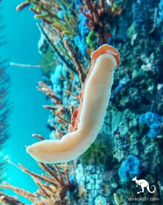 巴瑟尔顿栈桥,《千与千寻》灵感发源地,就连《妻子的浪漫旅行2》也惊叹于她的美