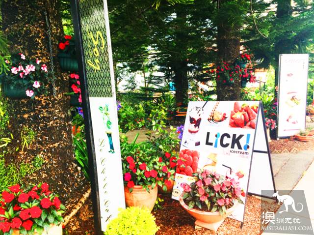 黄金海岸金沙碧海后的秘境:天宝林山游玩全攻略