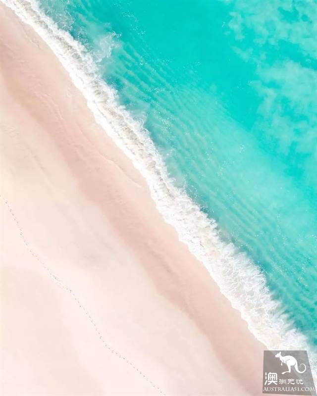 《妻子的浪漫旅行2》，章子怡真人首秀要带火这座“孤独”的城市：珀斯