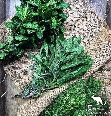 墨尔本Local才知道的Market,藏着最新鲜便宜的蔬果