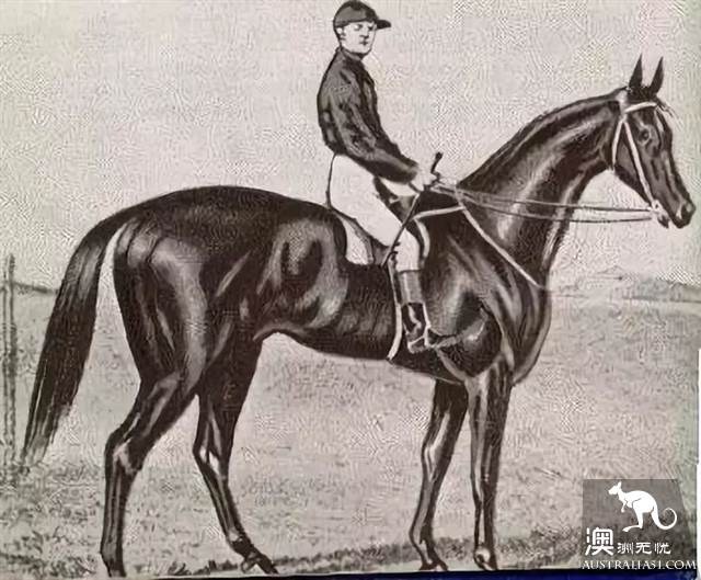 为何这个节日这么重要?墨尔本杯赛马节(Melbourne Cup Carnival)全攻略