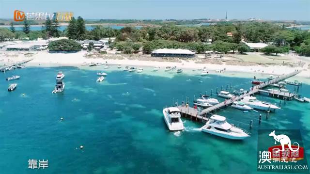 《妻子的浪漫旅行2》目的地:珀斯罗特尼斯岛游玩全攻略