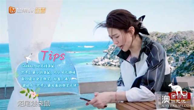 《妻子的浪漫旅行2》目的地:珀斯罗特尼斯岛游玩全攻略
