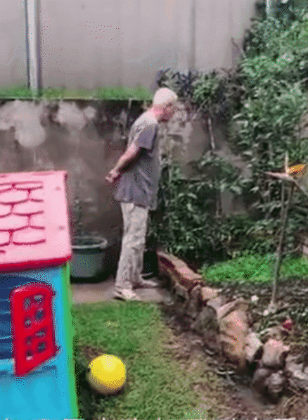 “又贵吃得又不好！”华人阿姨diss澳洲幼儿园，她竟都说对了！“脏乱”的幼儿园，让所有孩子都“野”到飞起