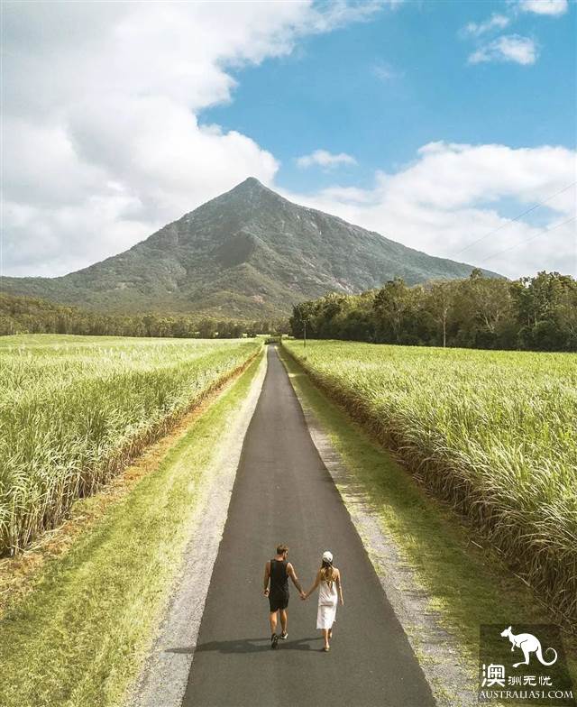 凯恩斯和大堡礁，她可盐可甜，可萌可仙可狂野