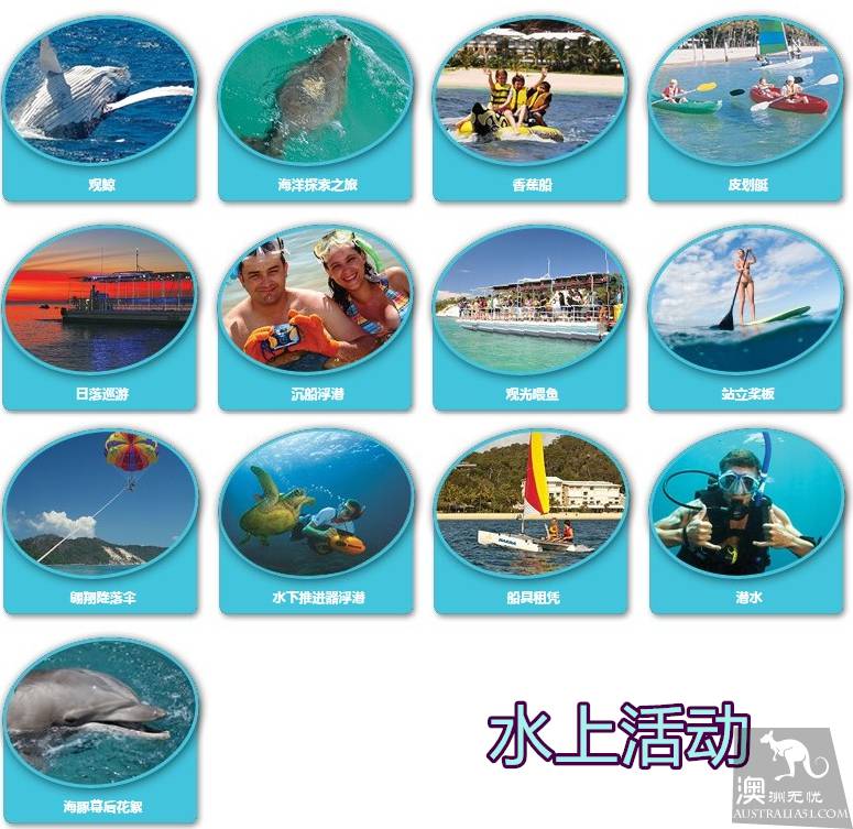 亲手喂海豚是种怎样的体验？玩转摩顿岛全攻略