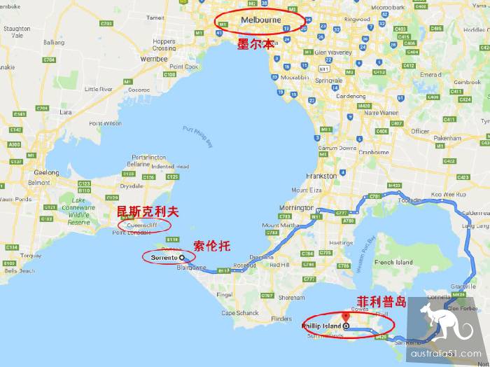 从墨尔本的企鹅岛到大洋路,轮渡费用多少?