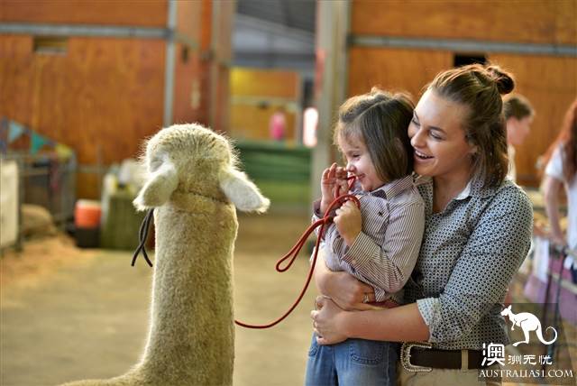 2019年悉尼皇家嘉年华(Royal Easter Show)开幕在即,攻略抢先看