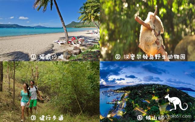 圣灵群岛,汉密尔顿岛和艾尔利海滩如何选择?