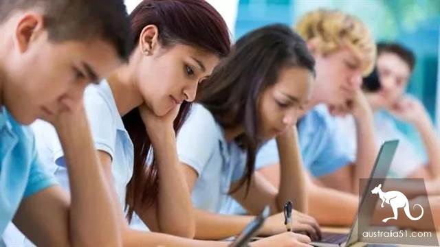 不服不行!数据显示:澳洲华人学生的成绩比其他学生高60分