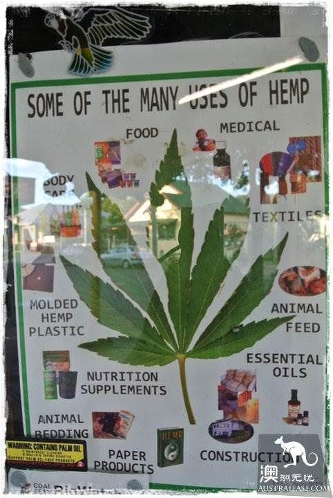 宁宾（Nimbin）游记，探访澳洲最神秘的大麻小镇