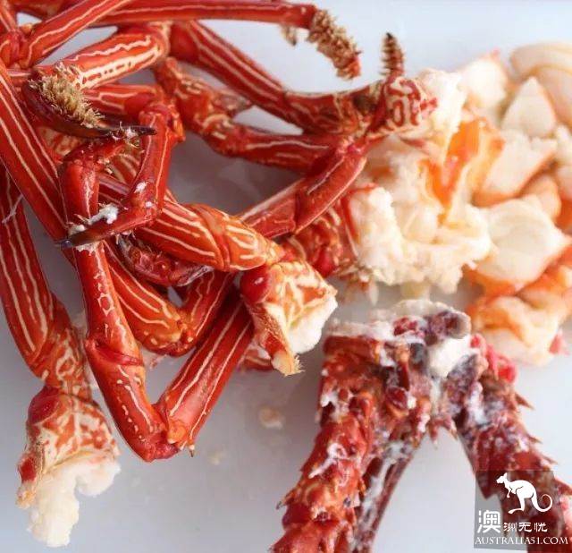 一篇文章教你在大堡礁怎么选酒店