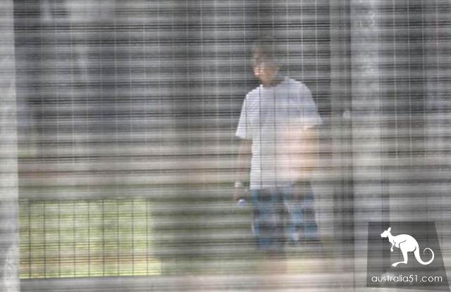 澳1/3确诊者出院，圣诞岛澳人解禁怎回家