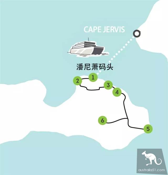 袋鼠岛最新自驾路线,每一处都是意犹未尽