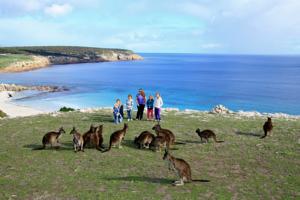Waves & Wildlife Cottages Kangaroo Island