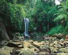 坦伯林山国家公园（Tamborine National Park）