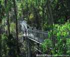大奥特维国家公园（Great Otway National Park）