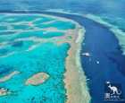 大堡礁（Great Barrier Reef）