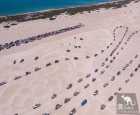 兰斯林（Lancelin）