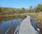 特宾比拉自然保护区（Tidbinbilla Nature Reserve）