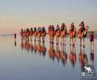 凯布尔海滩（Cable Beach）