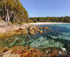 杰维斯湾国家公园（Jervis Bay National Park）