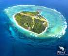 埃里奥特夫人岛(Lady Elliot Island)