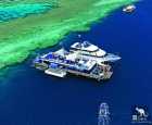 哈迪礁（Hardy Reef）