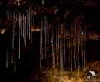萤火虫洞（Glow Worm Caves）