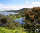 塔山野生动物保护区（Tower Hill Wildlife Reserve）