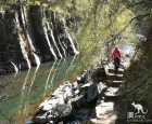 峡谷步道（Canyon Walk）