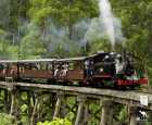 普芬比利蒸汽小火车（Puffing Billy Railway）