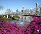 故事桥（Story Bridge）
