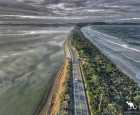 布鲁尼岛（Bruny Island）