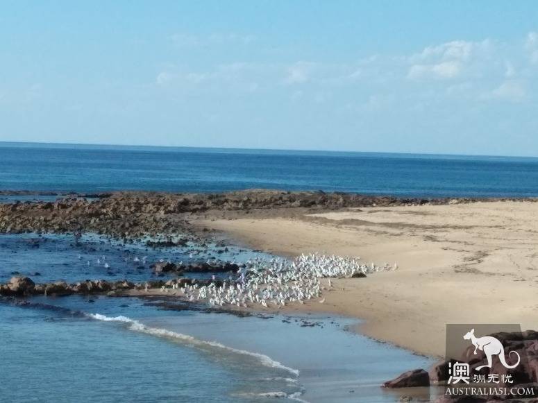 澳洲最早由官方认可的裸体海滩马塞林海滩（Maslin Beach）