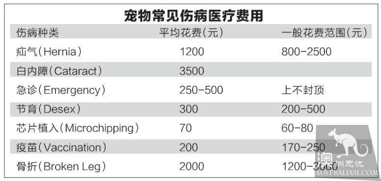在澳洲养宠物，你知道怎么理财吗