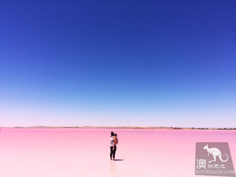 阿德莱德粉红湖(Bumbunga Lake)完全攻略,自驾跟团均适用